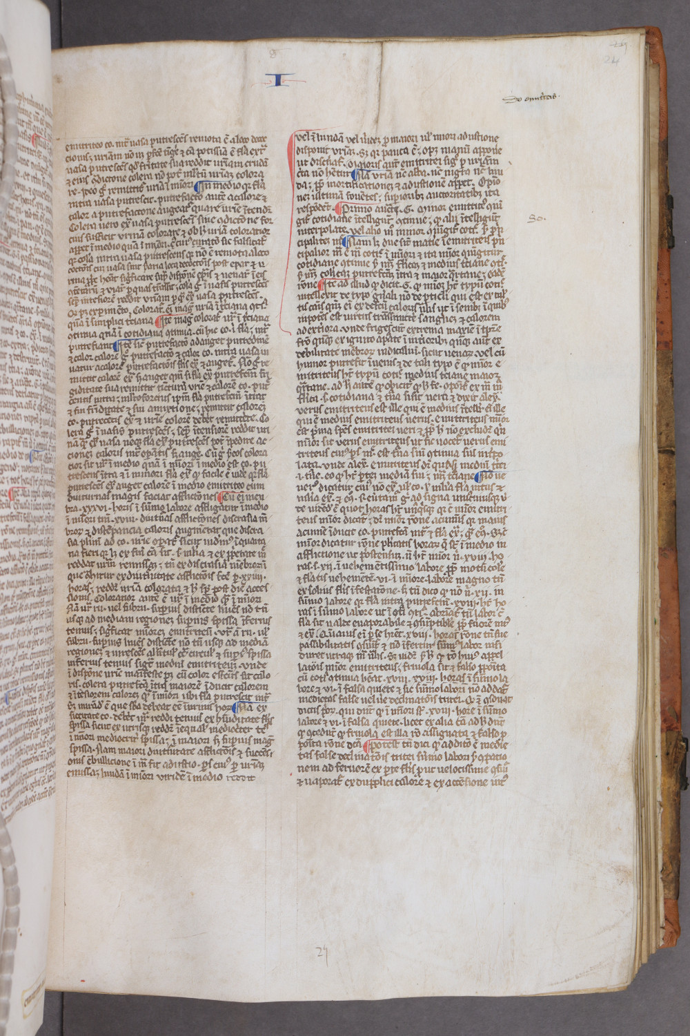 Folio 24 recto
